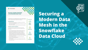 Resources_Case-Study_Modern-Data-Mesh