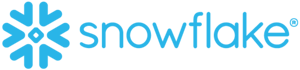 Snowflake logo for homepage