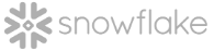 trustlogix_logopanel_snowflake